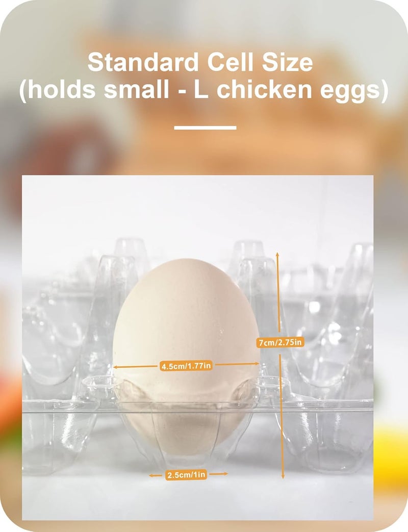 Pintuson 50 Pack Egg Cartons Cheap Bulk 12 Count - Holds 1 Dozen Clear Blank Egg Cartons for Chicken Eggs - Clear Empty Chicken Egg Carton for Fresh Medium Eggs - Image 3